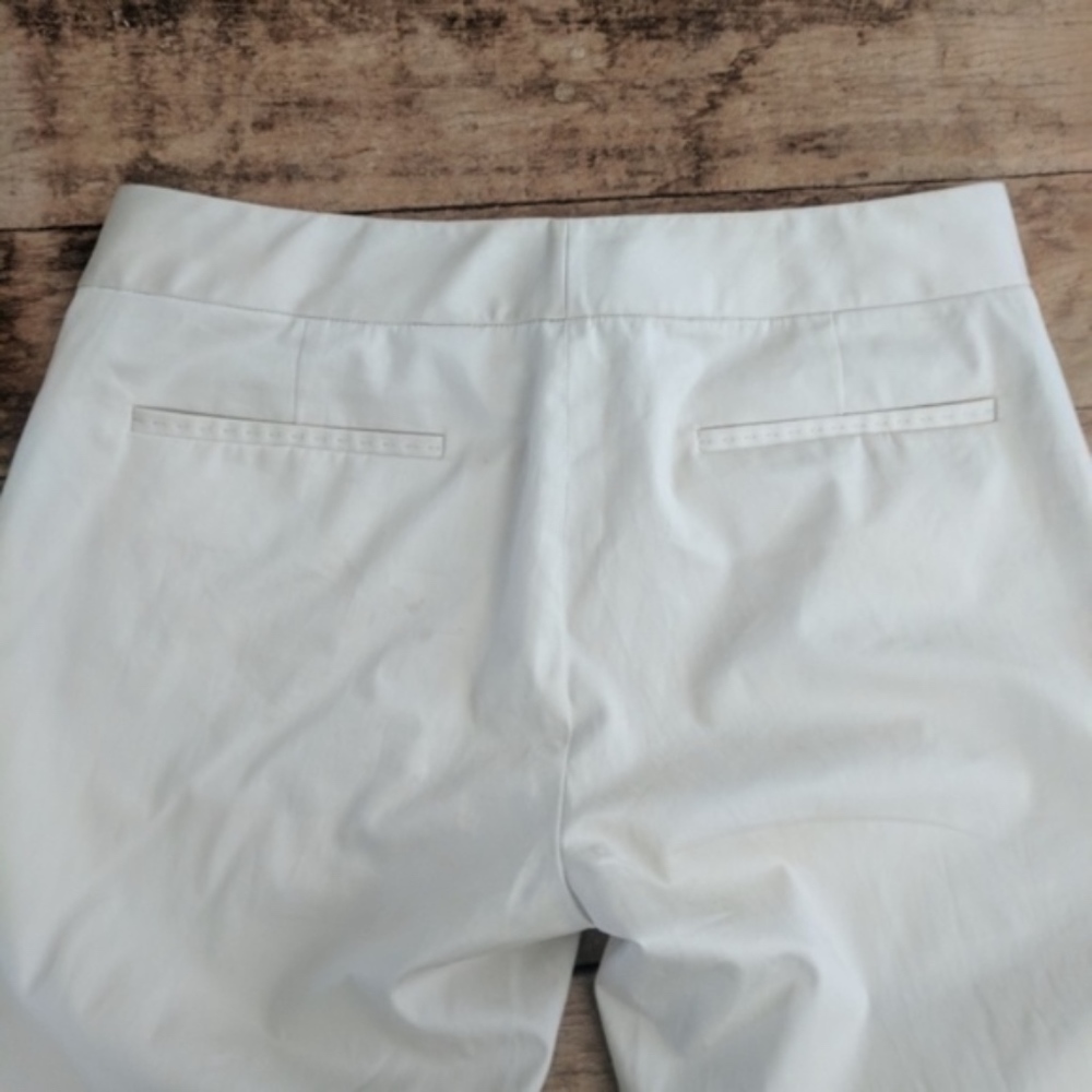 Stretchy Stone Capris - image 3